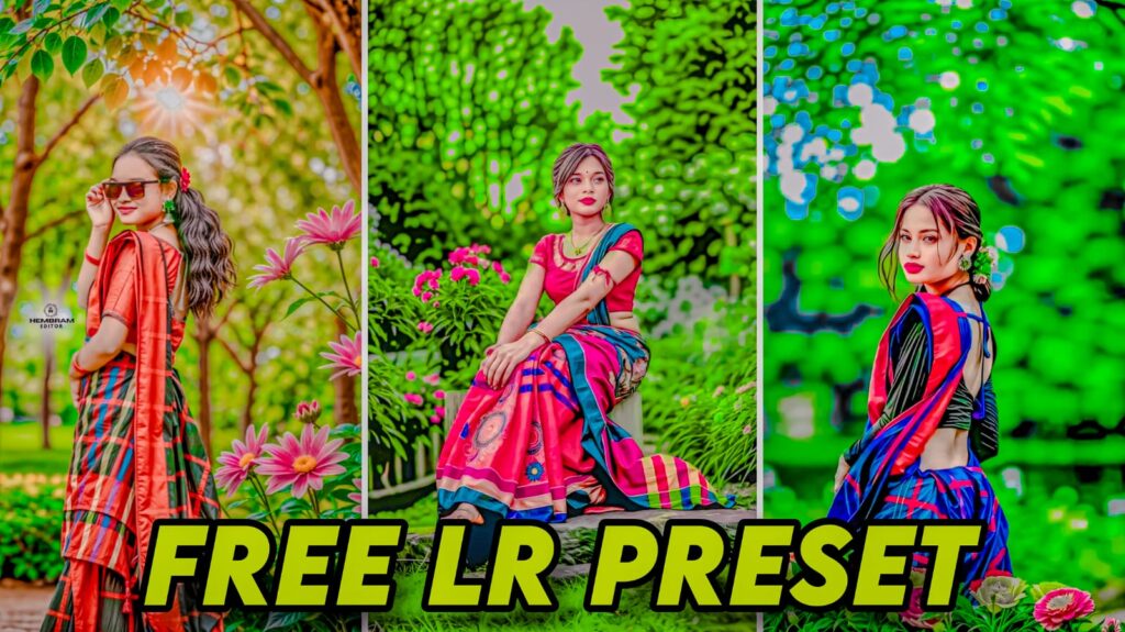 Aarya Editz Presets
