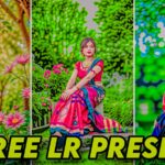 Aarya Editz Presets