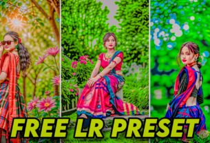 Aarya Editz Presets