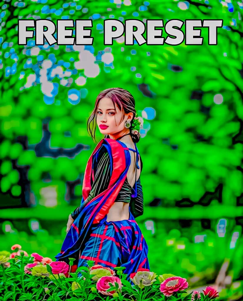 Aarya Editz Presets
