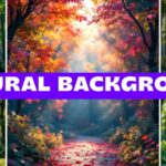 Snapseed Beautiful Nature Editing Background