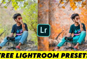Orange Lightroom Preset